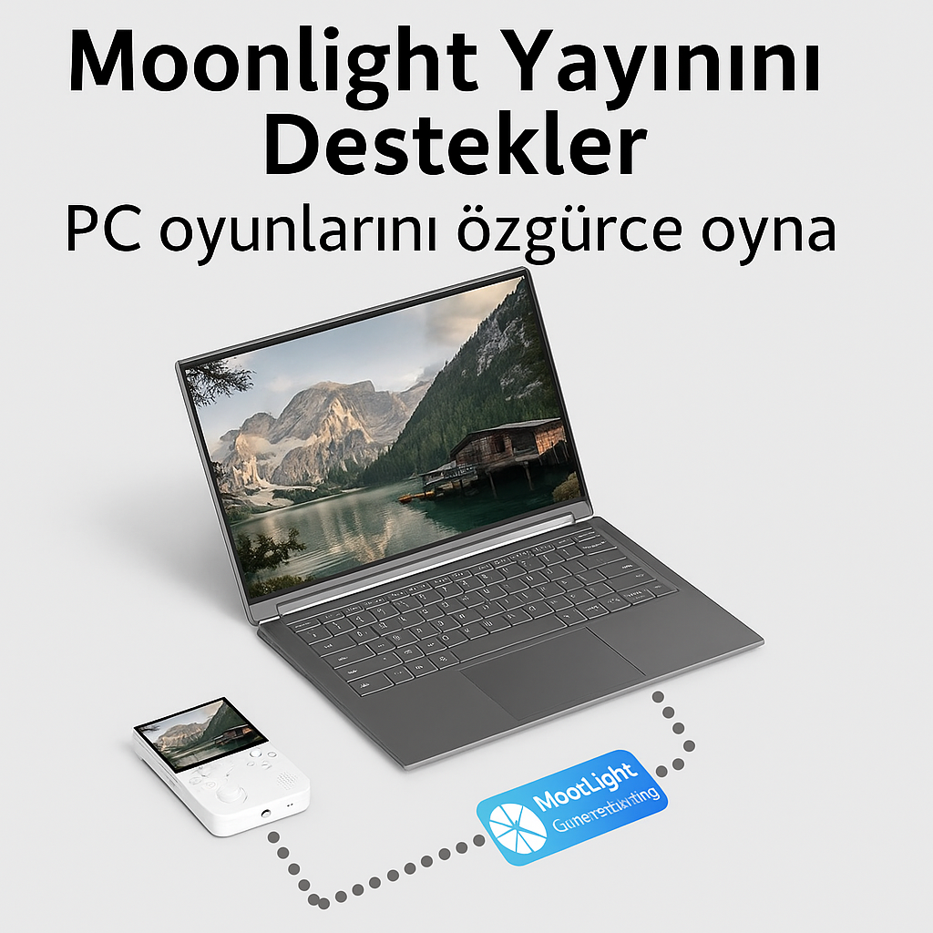 RetroTernal© Anbernic RG 40 XX V Taşınabilir Oyun Konsolu