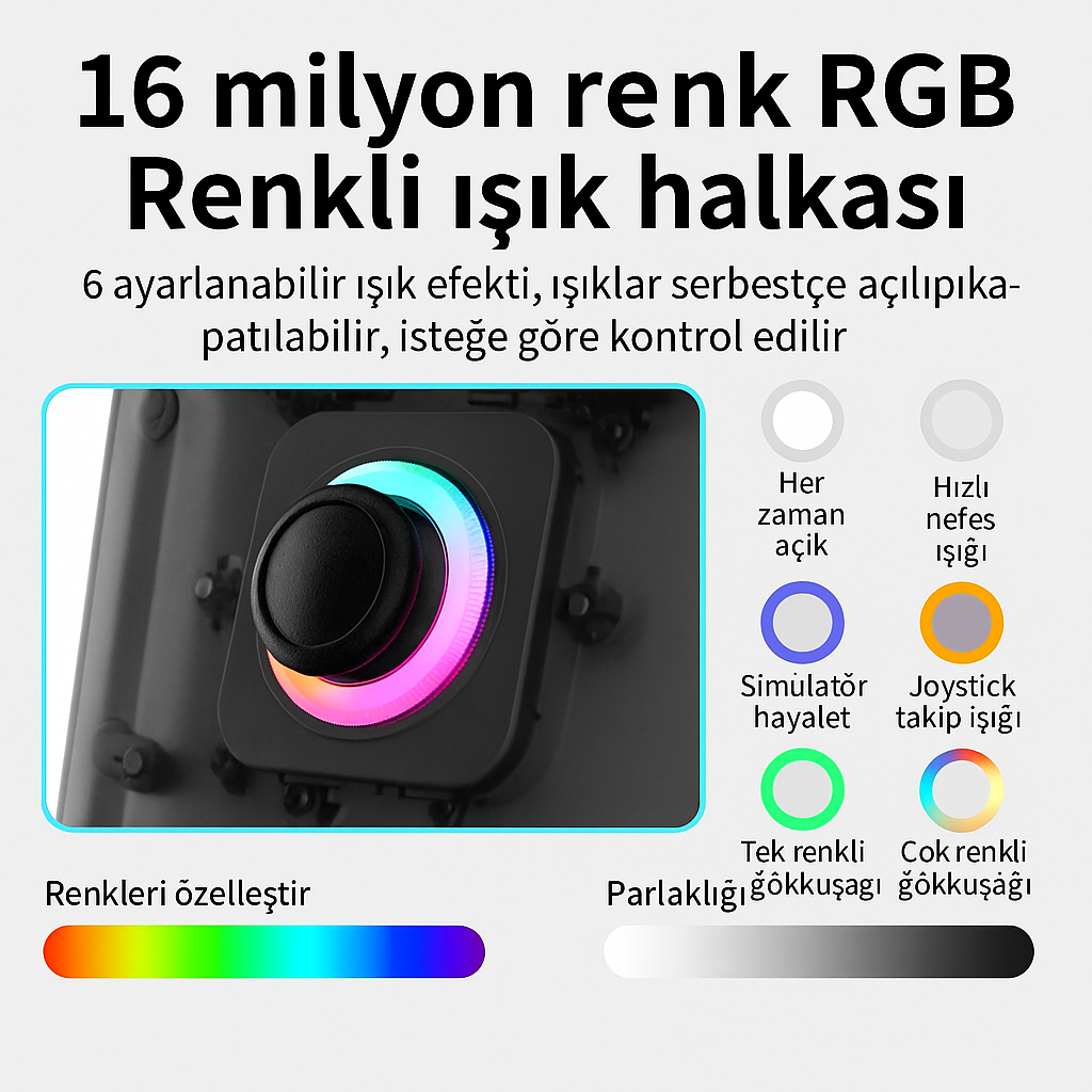 RetroTernal© Anbernic RG 40 XX V Taşınabilir Oyun Konsolu