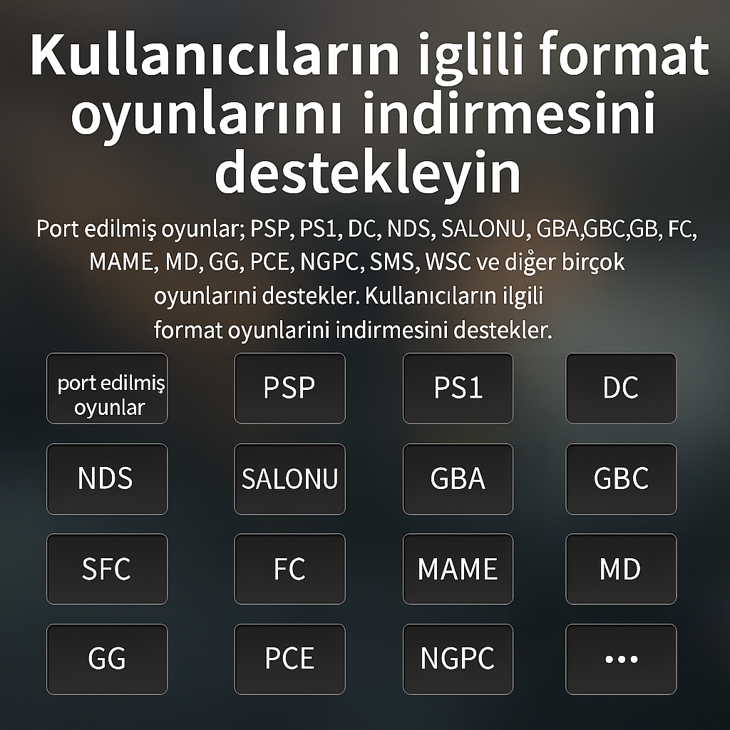 RetroTernal© Anbernic RG 40 XX H Taşınabilir Mini Oyun Konsolu